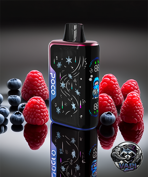 poco-snowman-blackberry-raspberry-lemonade poco-snowman-blackberry-raspberry-lemonade